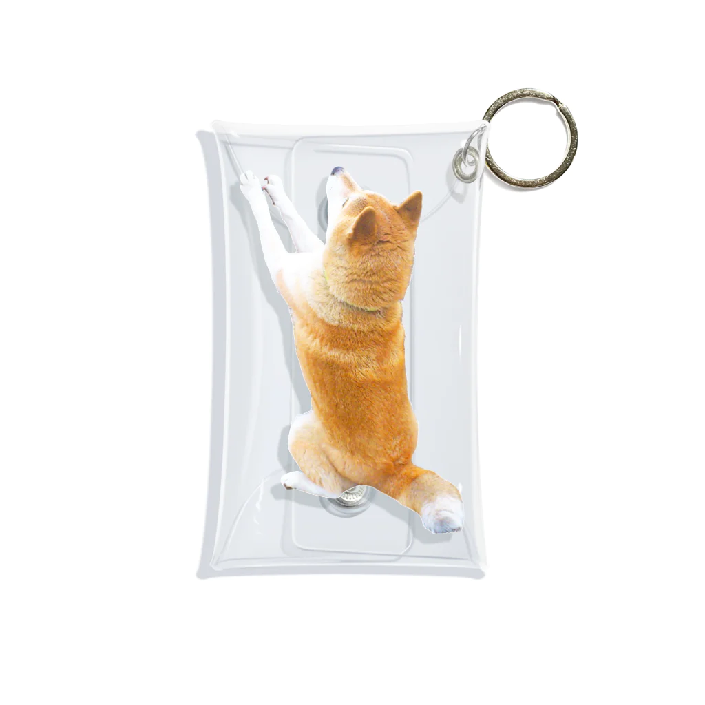 愛犬太郎のグッズのそこをなんとか！な太郎【柴犬】 Mini Clear Multipurpose Case