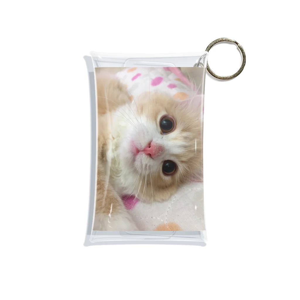 にゃんこの「めめたん」グッズのどあっぷ Mini Clear Multipurpose Case