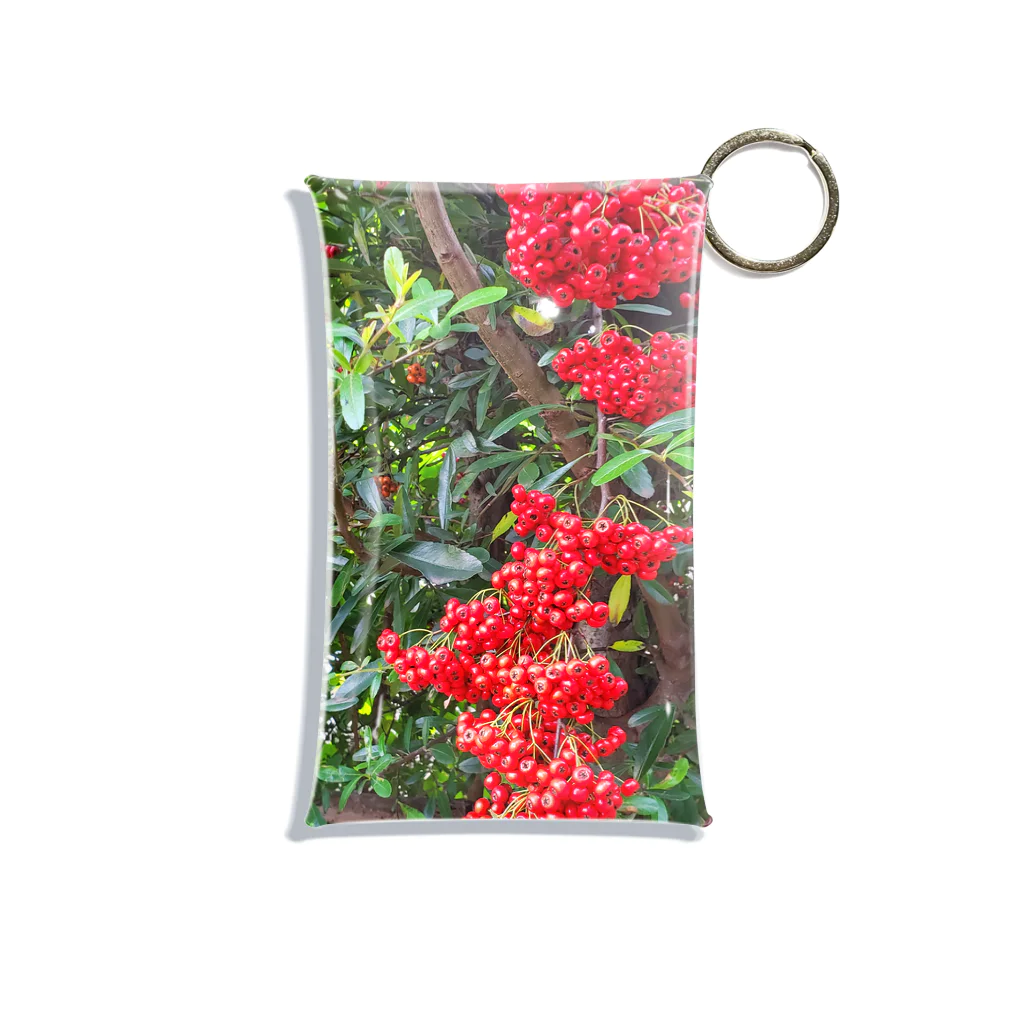 River Gardenの赤い実 Mini Clear Multipurpose Case