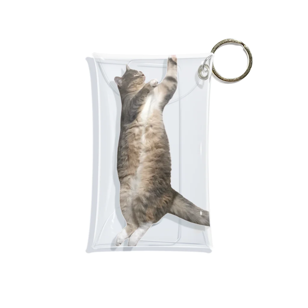 ねこのパピコのパピコ（盆踊りのすがた） Mini Clear Multipurpose Case