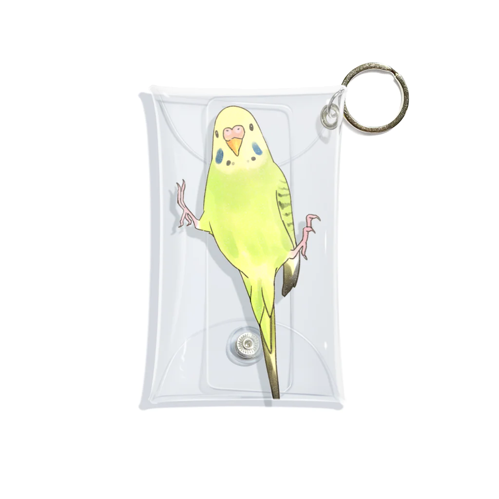 まめるりはことりのピタッとセキセイインコちゃん【まめるりはことり】 Mini Clear Multipurpose Case