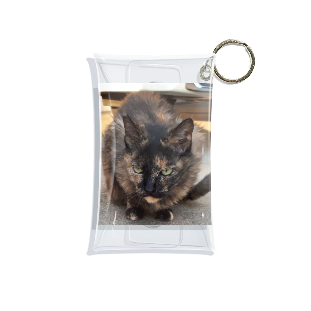 しましまミルクのアイアムサビ猫‼️ Mini Clear Multipurpose Case