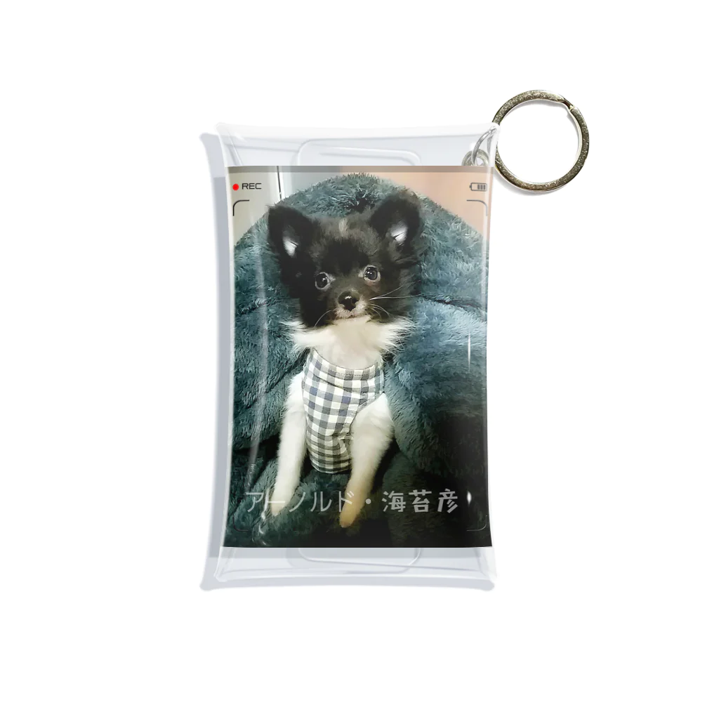 おませ工芸の猫になりたい子犬の海苔彦 Mini Clear Multipurpose Case