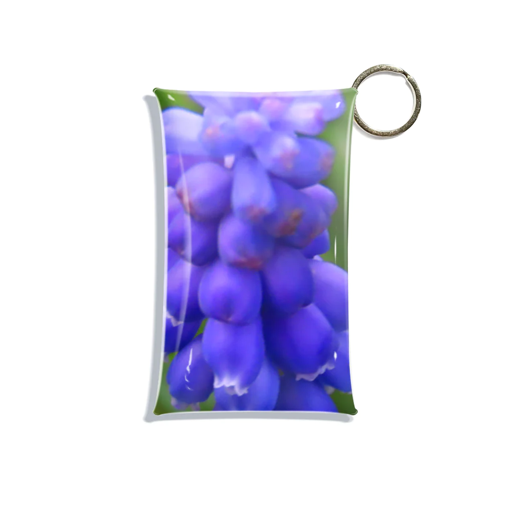 でおきしりぼ子の実験室のMuscari botryoides(1:1) Mini Clear Multipurpose Case