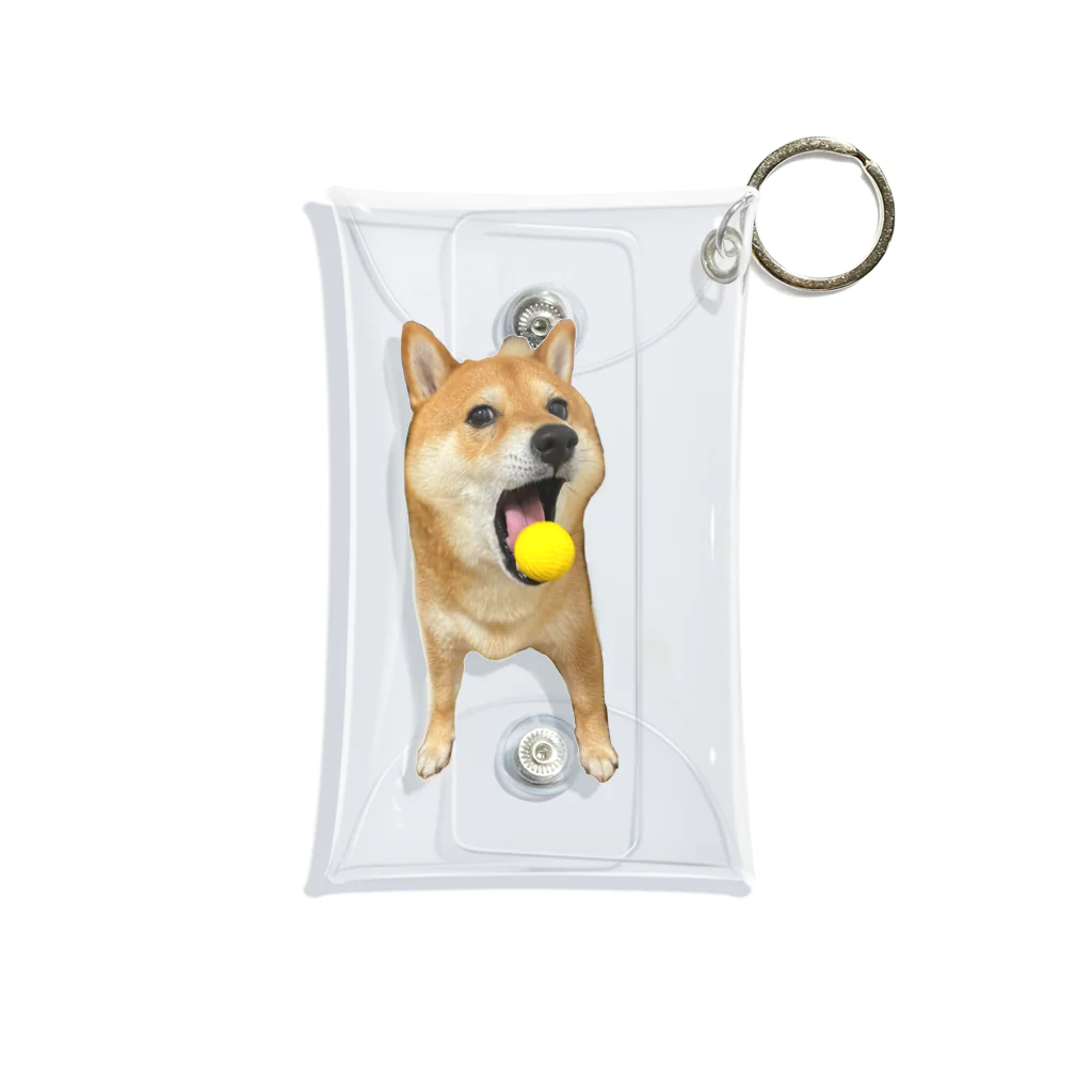 柴犬　晴　カフェオレのボールを取りたいしば犬 Mini Clear Multipurpose Case