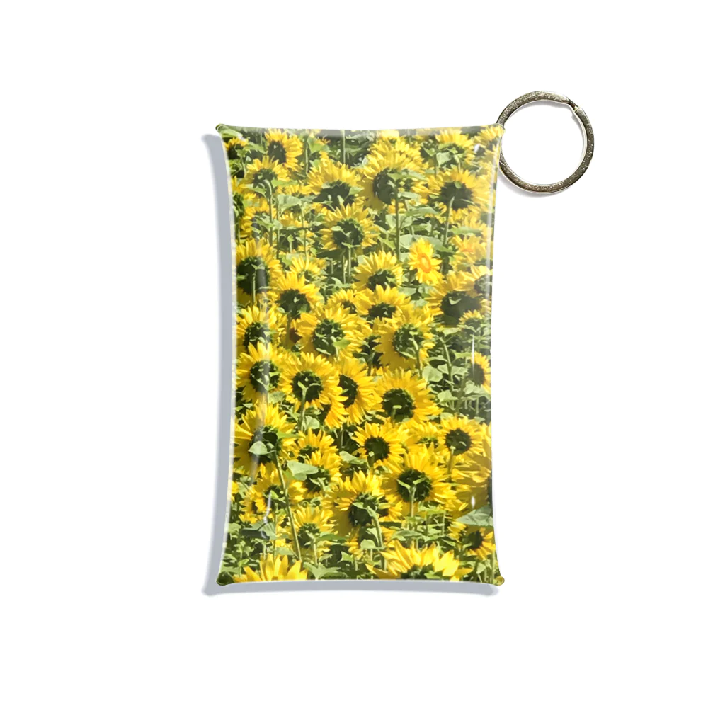 サニーSunny 犬グッズショップのひまわり　向日葵　花　北海道 Mini Clear Multipurpose Case