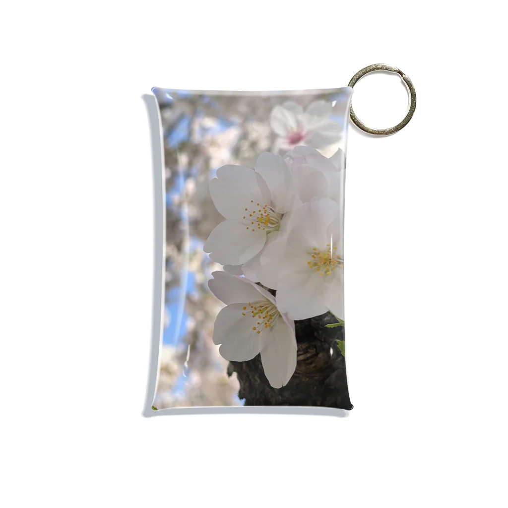 まこの見た景色の桜 Mini Clear Multipurpose Case