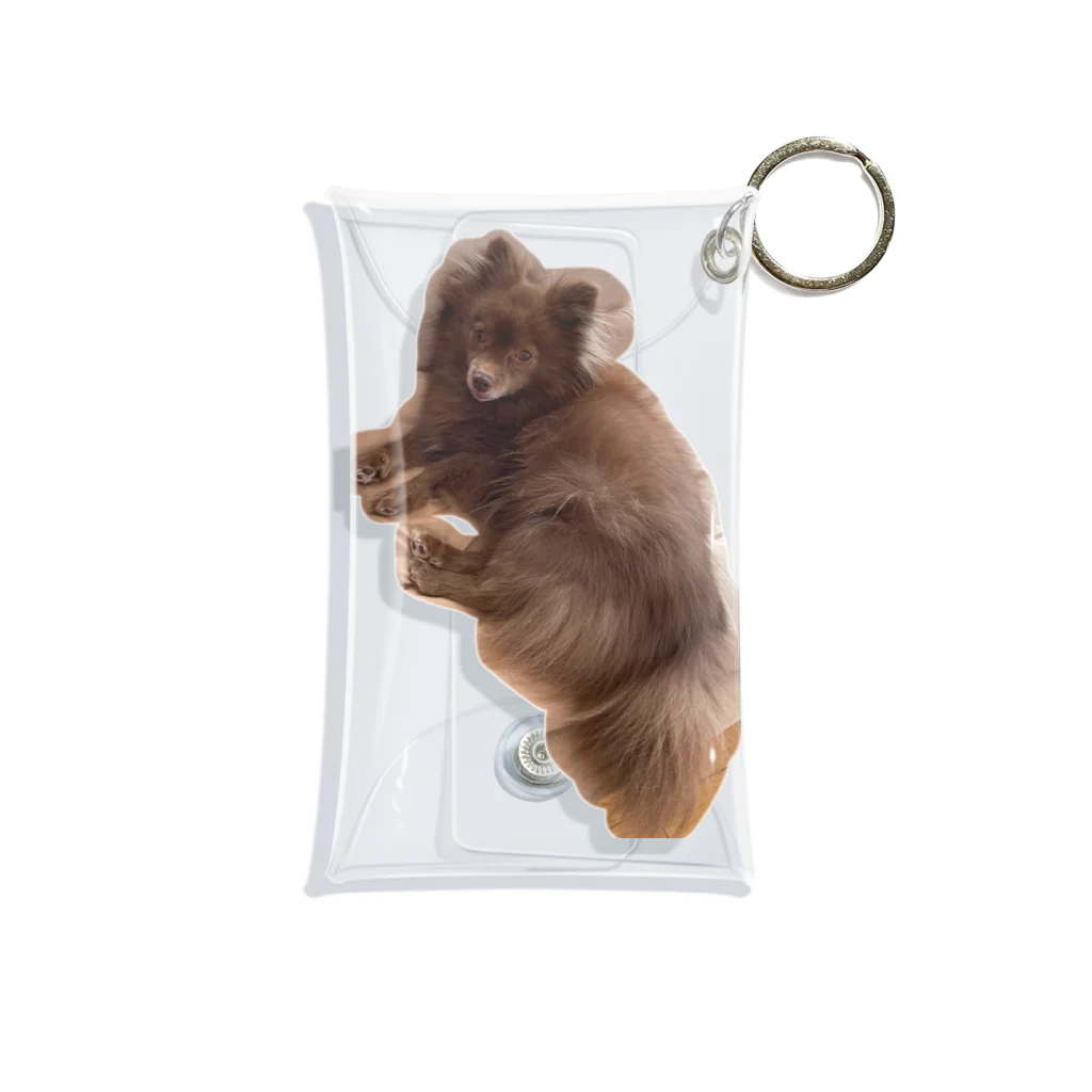 犬小屋の犬のミニクリアケース Mini Clear Multipurpose Case