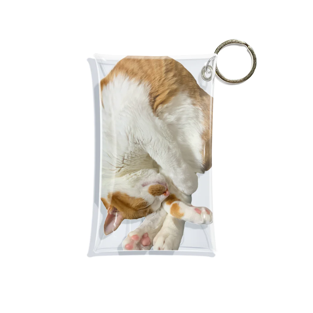 mellokkomaのえび風コマ Mini Clear Multipurpose Case