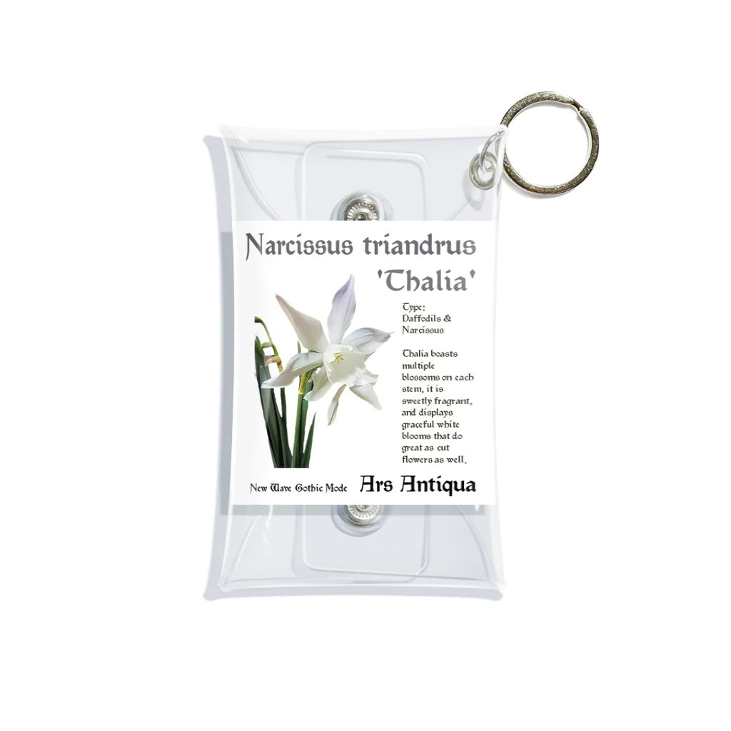 Ars AntiquaのNarucissus Triandrus 'Thalia' 1  Mini Clear Multipurpose Case