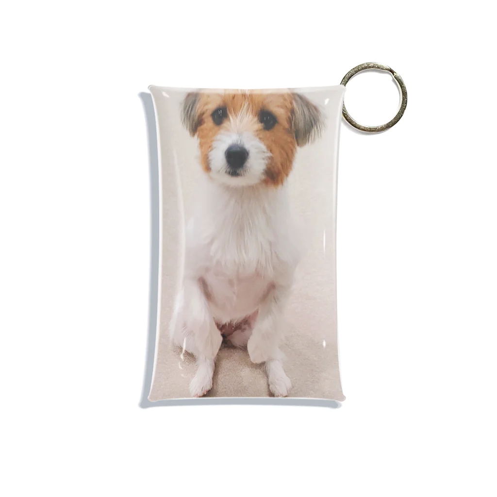 🐶８とロッティ🐶のロッティちゃん🐶 Mini Clear Multipurpose Case