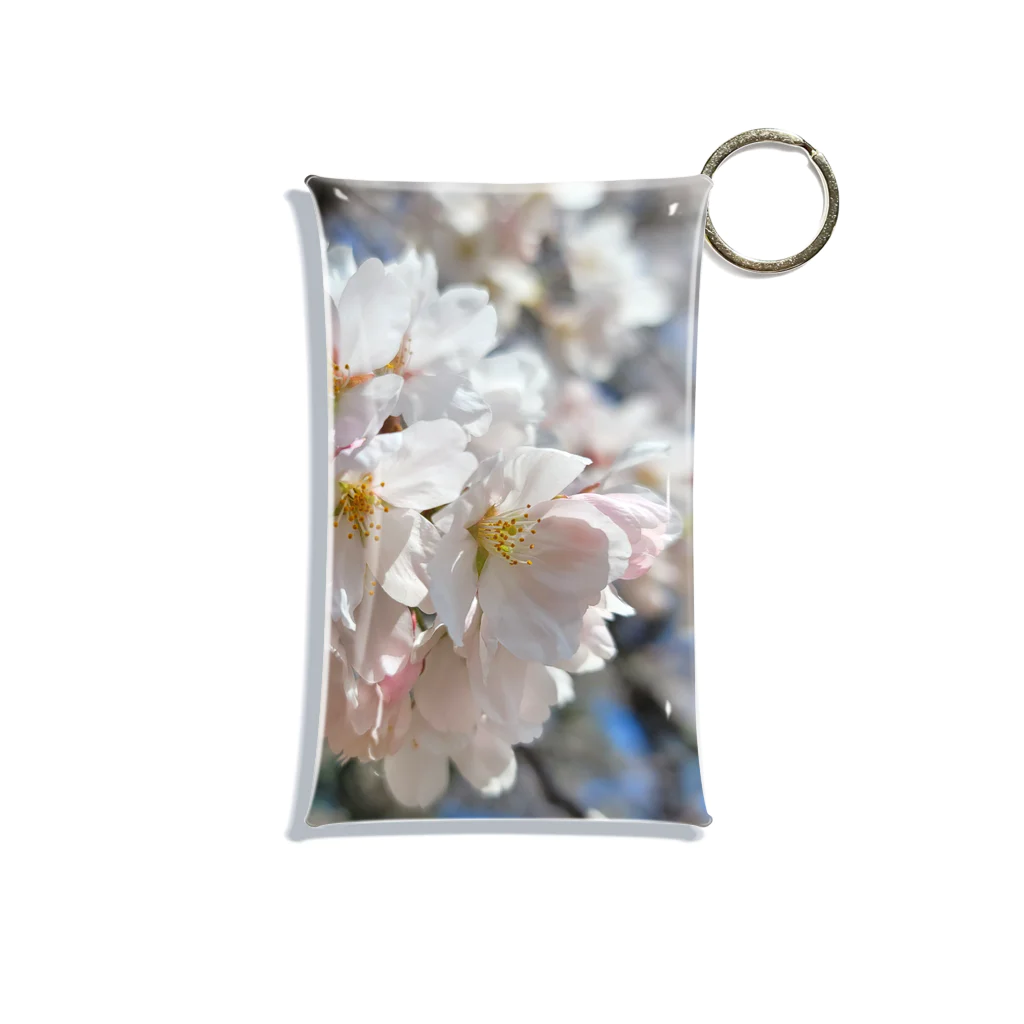 アルミアショップのspring Mini Clear Multipurpose Case