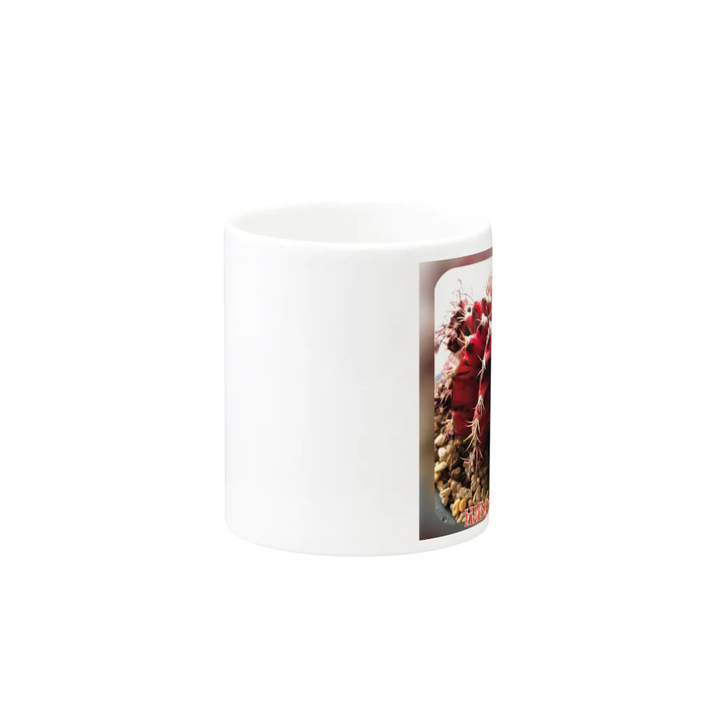 シアン猫の植物図鑑のサボテン緋牡丹錦 マグカップの取っ手の反対面