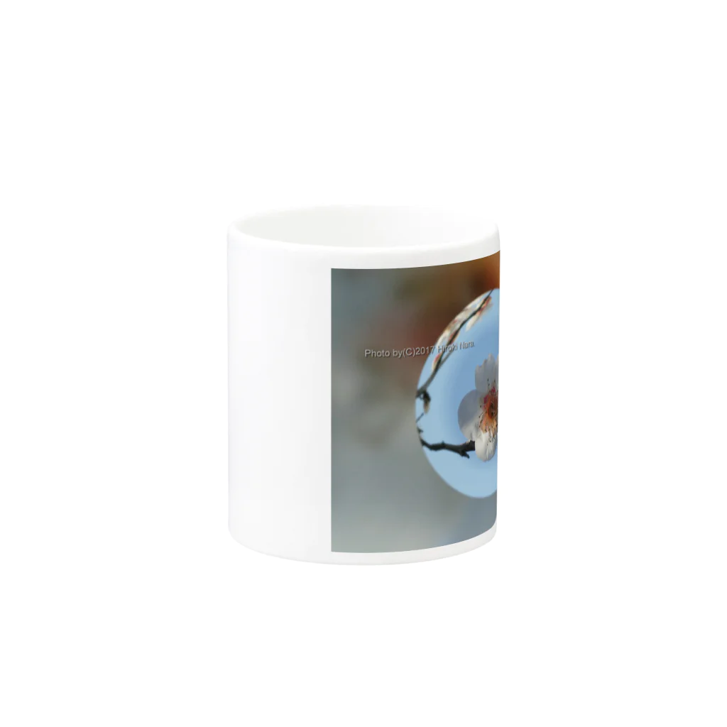 hiroki-naraの光景　sight737　梅  花 FLOWERS　　宙玉（そらたま） Mug :other side of the handle