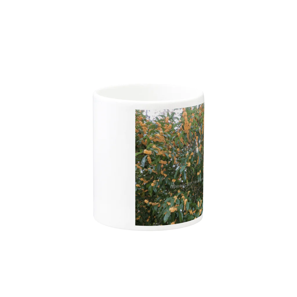 hiroki-naraの光景　sight740　キンモクセイ　金木犀　花 FLOWERS　壁紙 Mug :other side of the handle