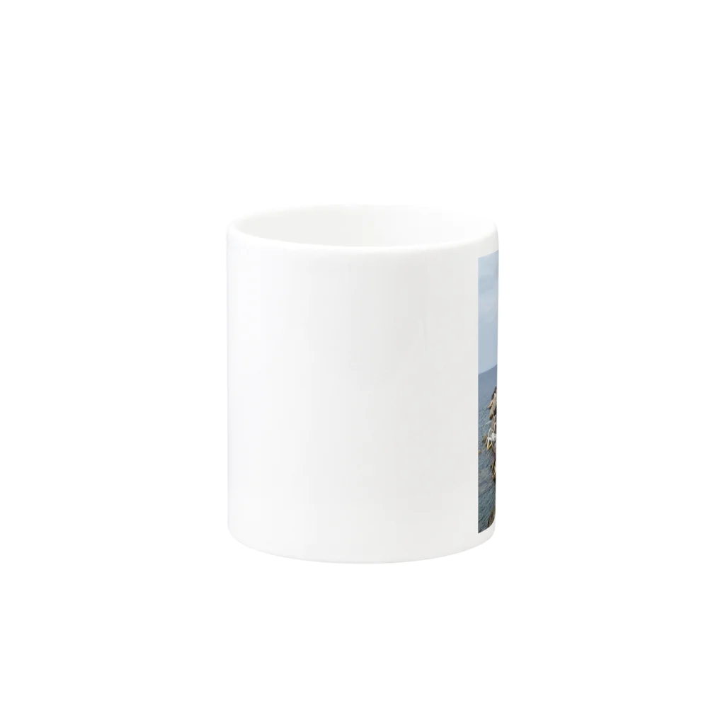 𝕕𝕖𝕖𝕖𝕝𝕚𝕥𝕖のリンクアンプがめっちゃ落ちてる Mug :other side of the handle