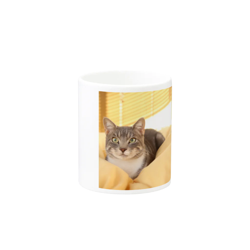 Aiko Nakanoのcat_20181116_0681' Mug :other side of the handle