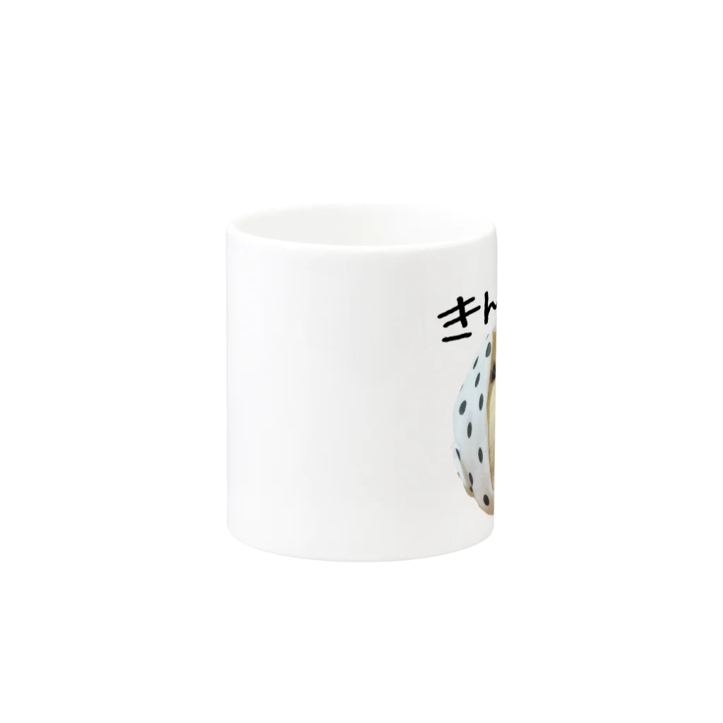 もんぺ＋MORPHEUSのホッカムリニスト・きんとき Mug :other side of the handle