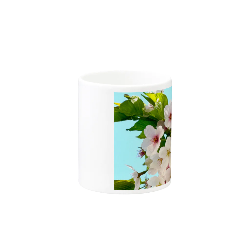 atelier_lapislazuliの桜 Mug :other side of the handle