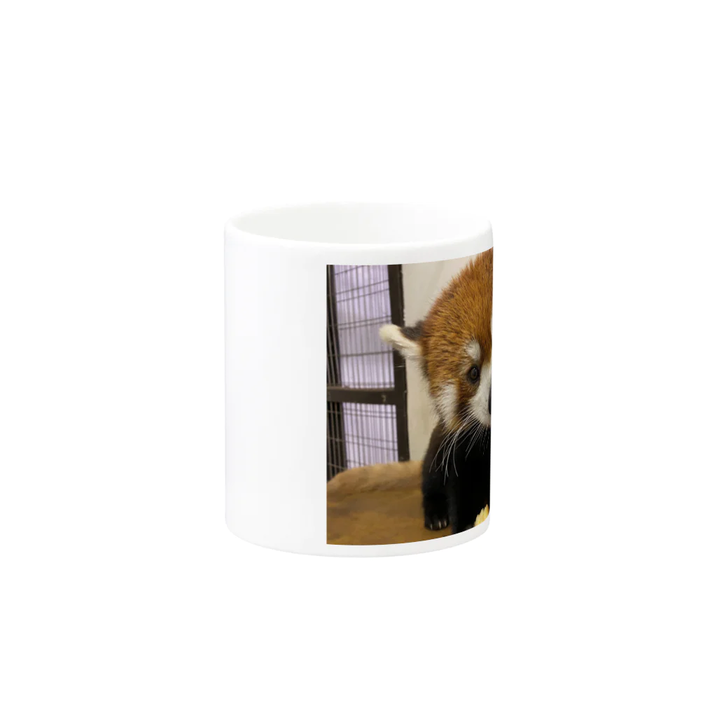 白銀屋のレッサーパンダ Mug :other side of the handle