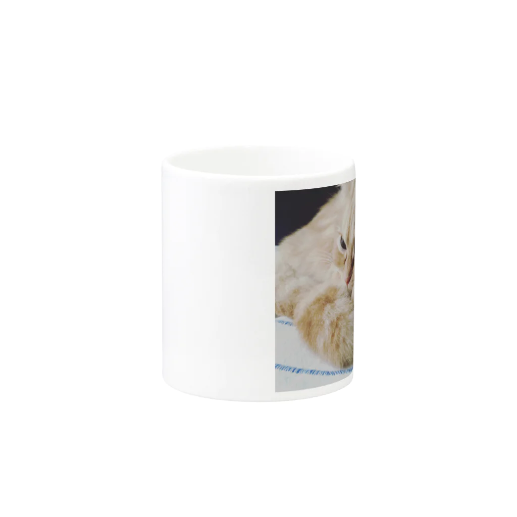 noixのひだまりの猫 Mug :other side of the handle