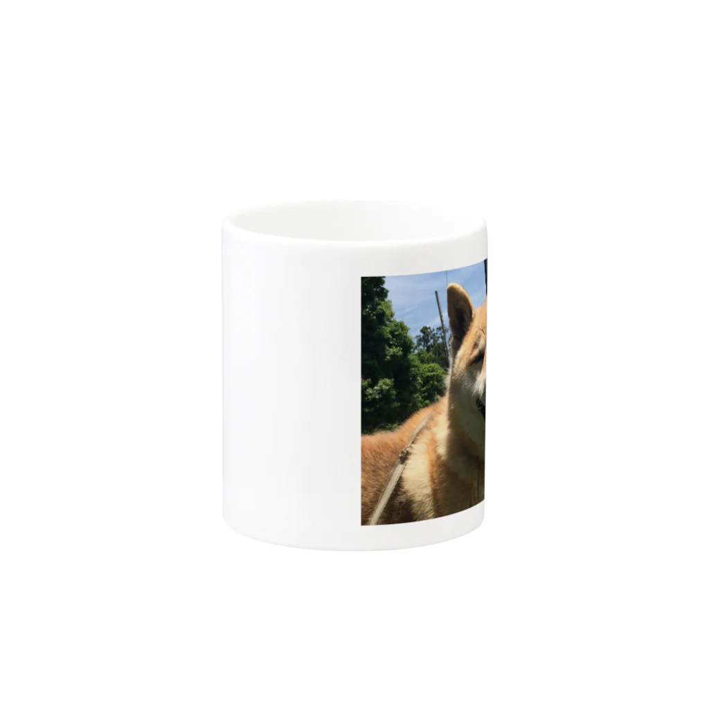 inu11の笑う犬には、福が来る‼︎ Mug :other side of the handle