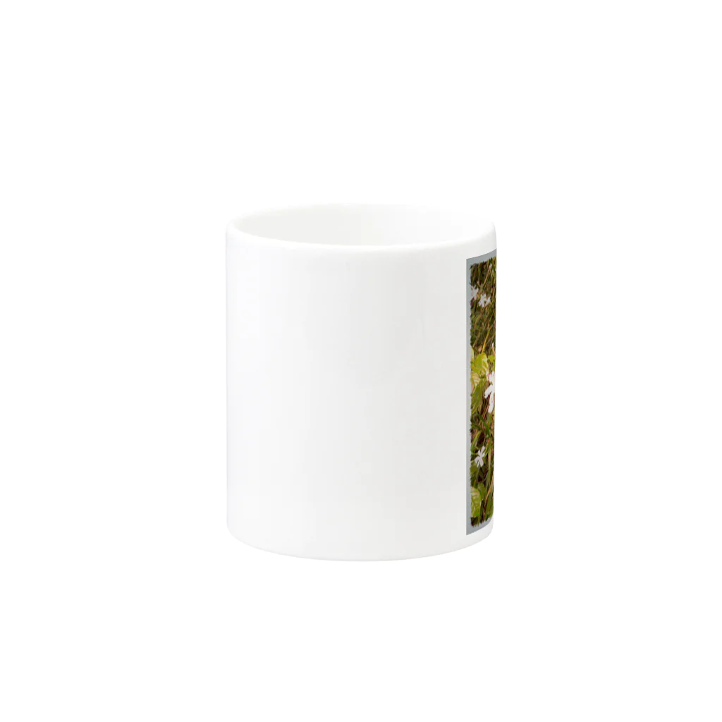 eweのボタニカル White Mug :other side of the handle