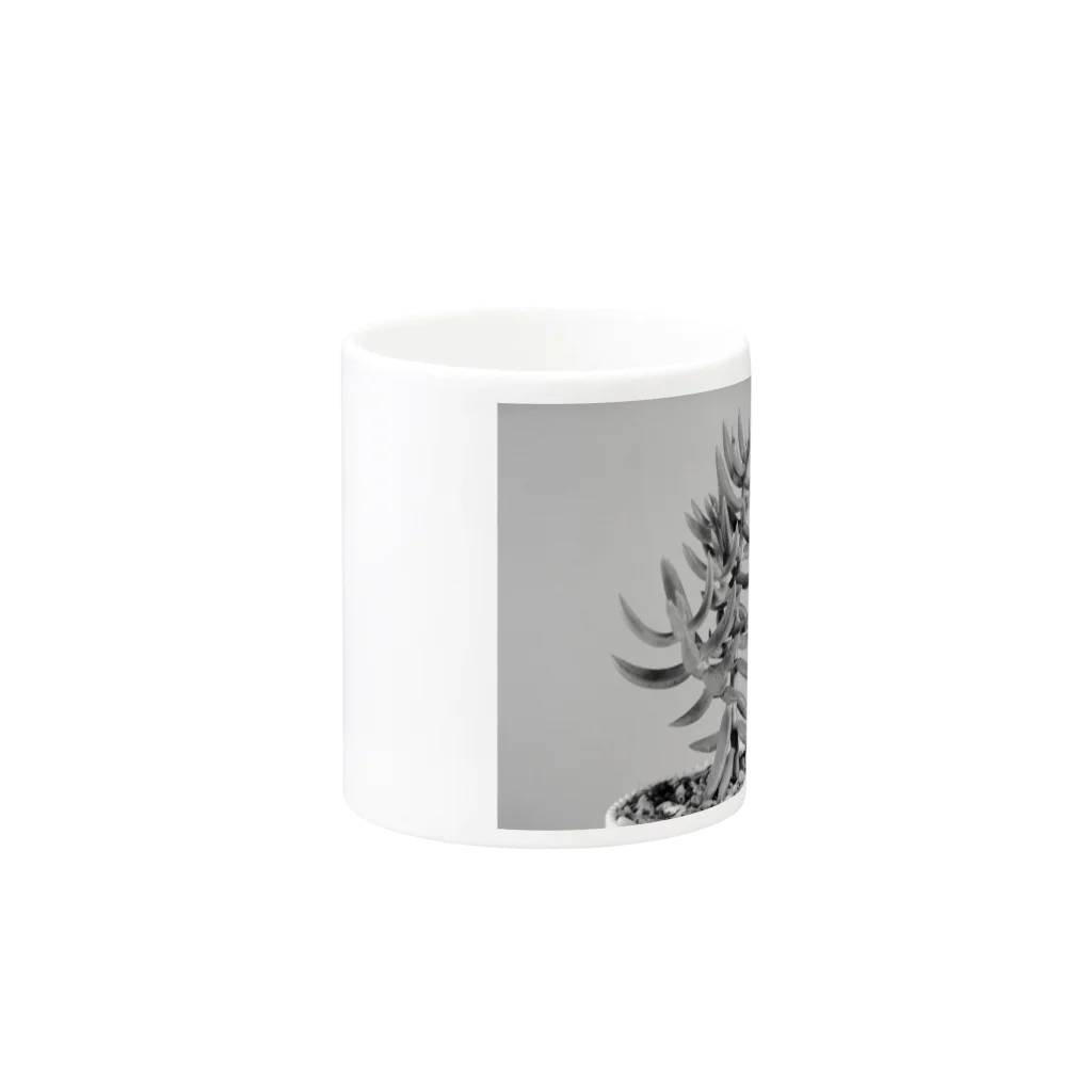 TANIKUDO by DJ.Plugmaticsの多肉植物B Black and white Mug :other side of the handle
