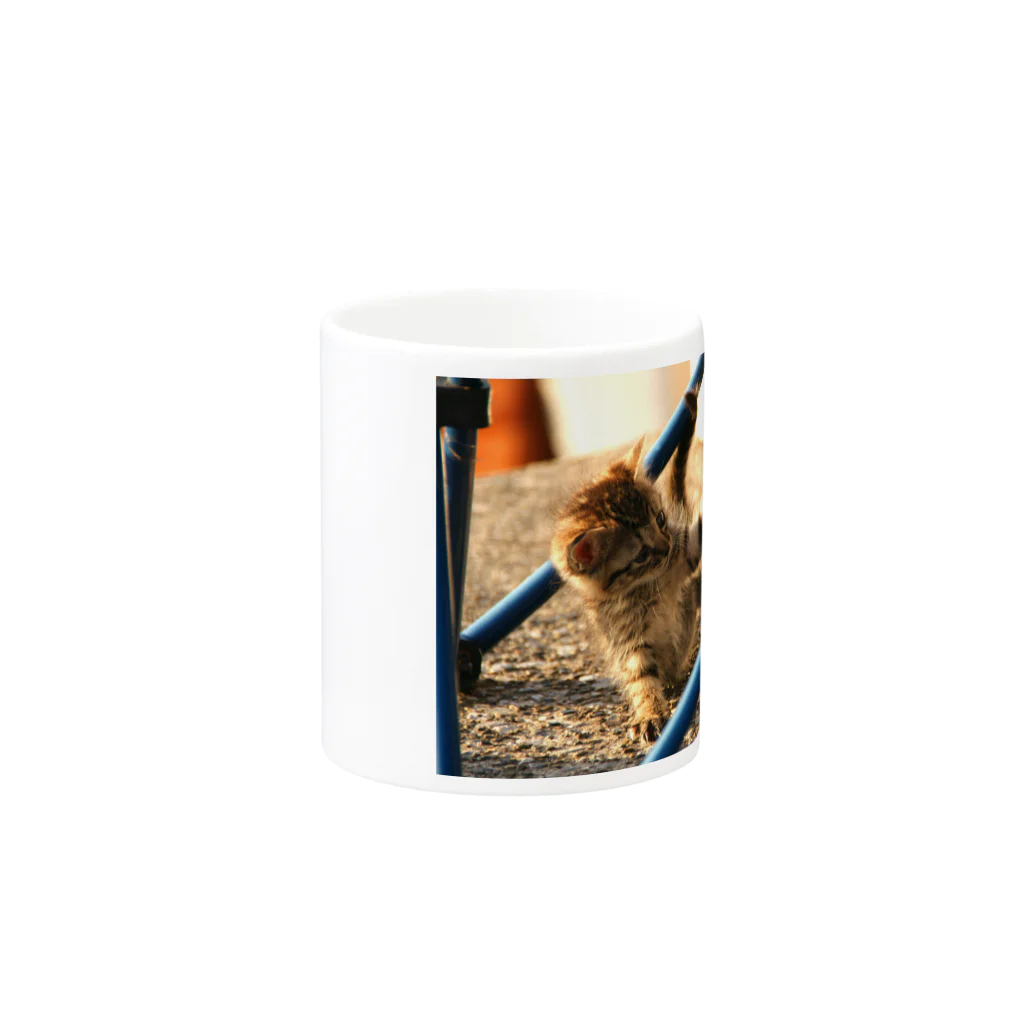 シッポ追いの猫写真店のうにゃ！ Mug :other side of the handle