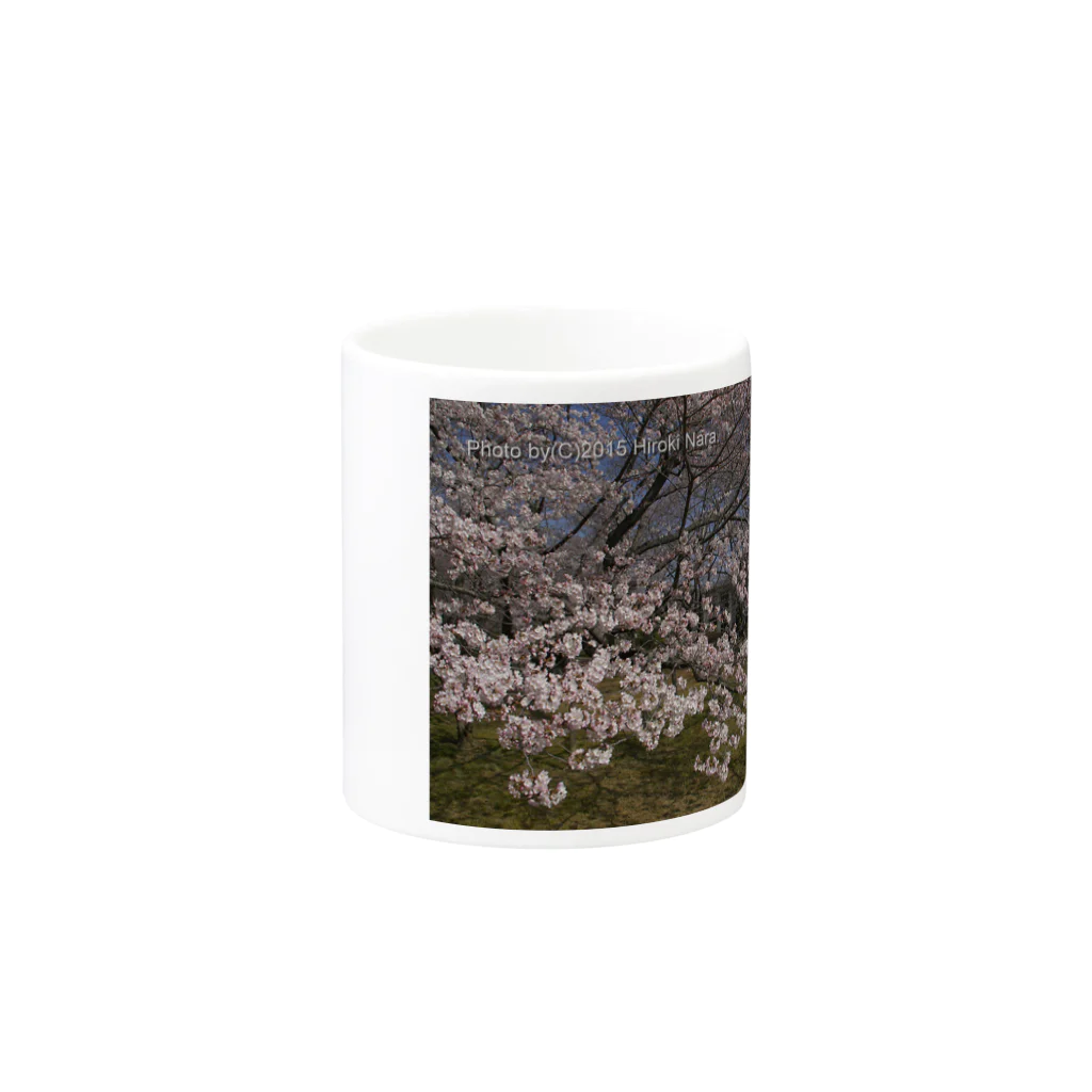 hiroki-naraの光景　sight0054　桜　2015_010　サクラ Mug :other side of the handle