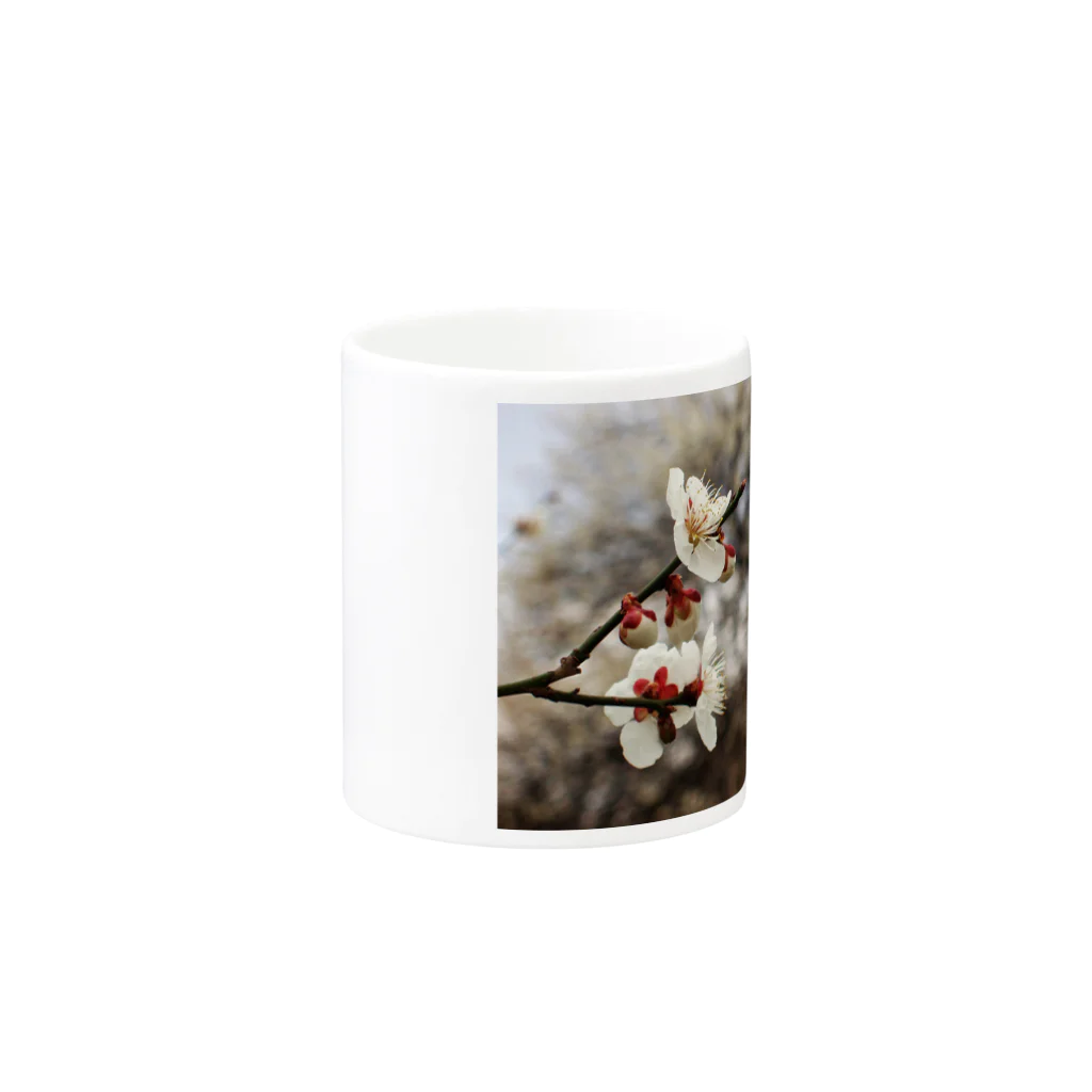 hiroki-naraの梅　ウメ　Japanese　apricot DATA_P_098　春　spring Mug :other side of the handle