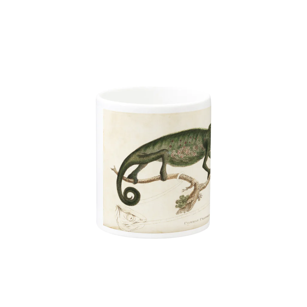 J. Jeffery Print Galleryのカメレオン Mug :other side of the handle