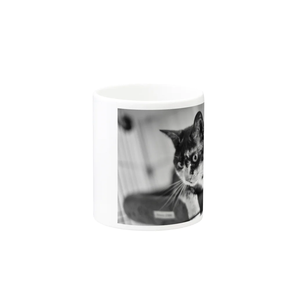 犬 猫 大好き！の猫 Tシャツ、リンガーTシャツ、トートバッグ、マグカップ Mug :other side of the handle