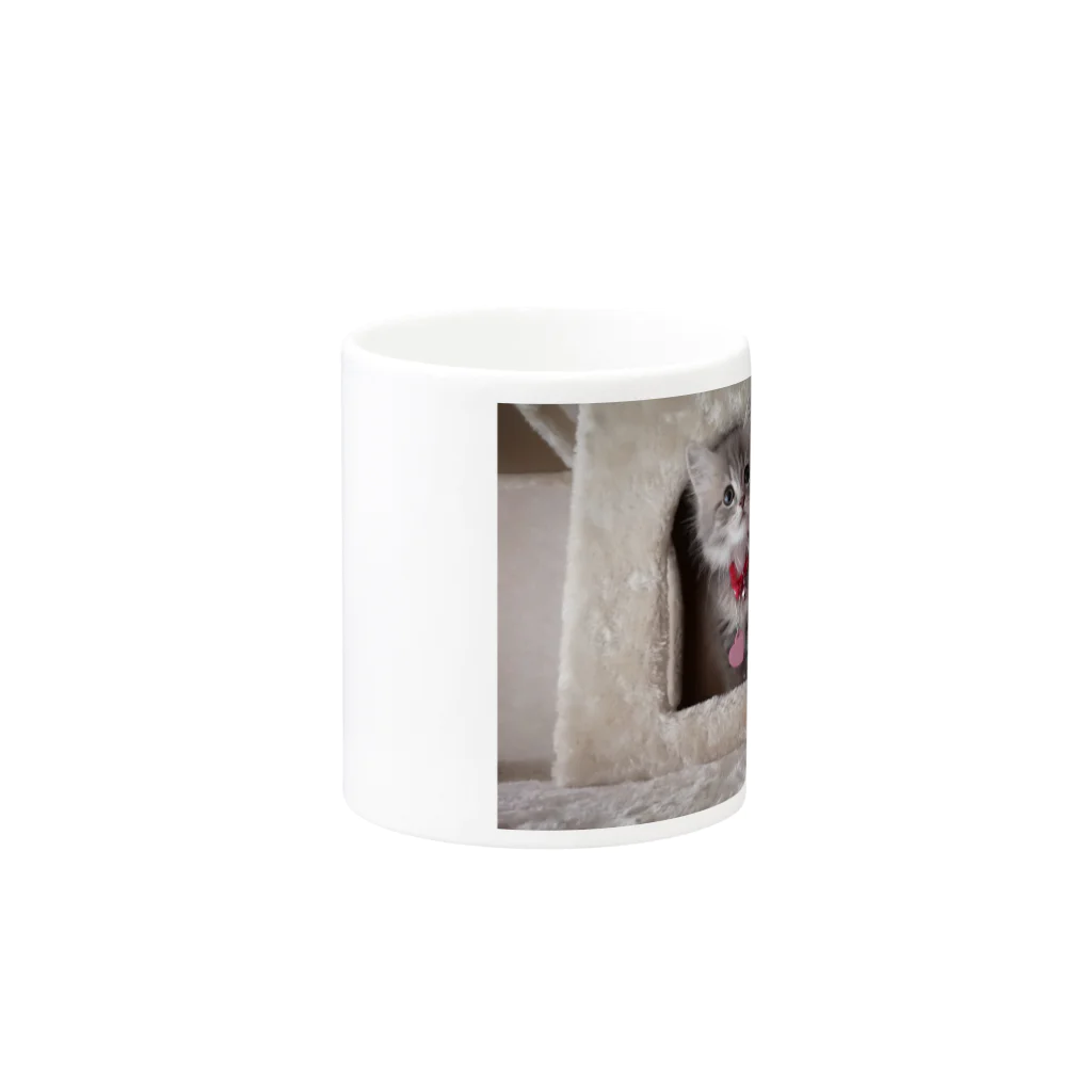 Elfi, Cherie, Felicia, Asher, Bae&Ameliaのサイベリアンの子猫(ブルータビー) Mug :other side of the handle