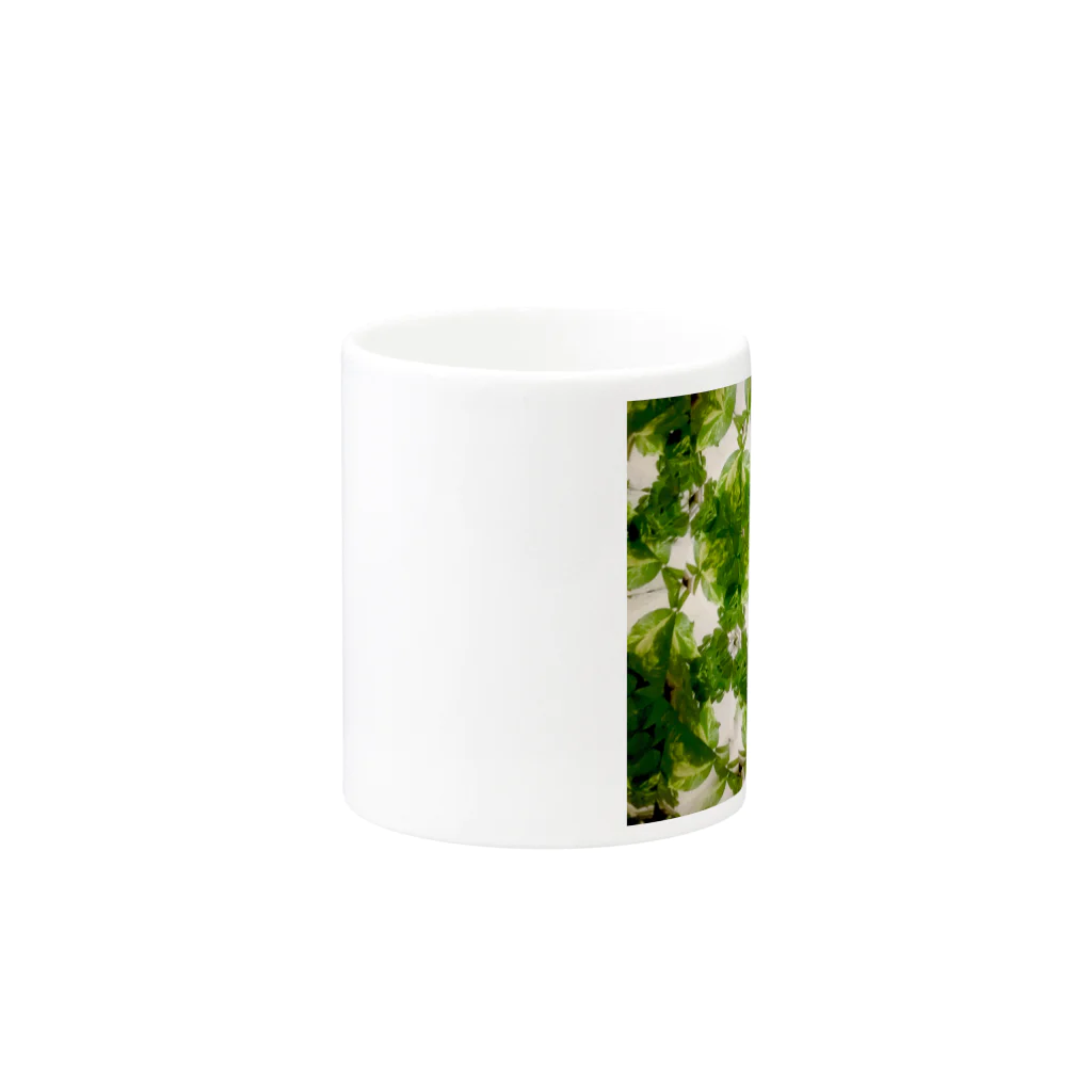 Parfume-weaverのポトス Mug :other side of the handle