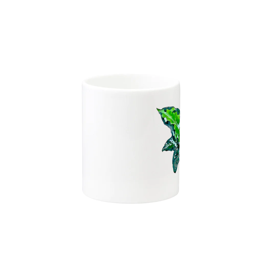 native forest 植物グッズのお店のアグラオネマ・ピクタム（Aglaonema pictum） Mug :other side of the handle