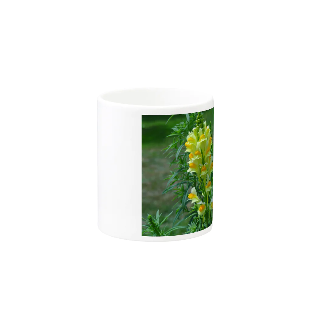 有川　弘治の夏花 Mug :other side of the handle