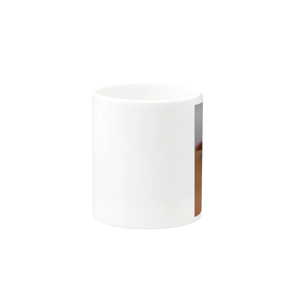 Sabuのエキゾチックショートヘアのマグカップ Mug :other side of the handle