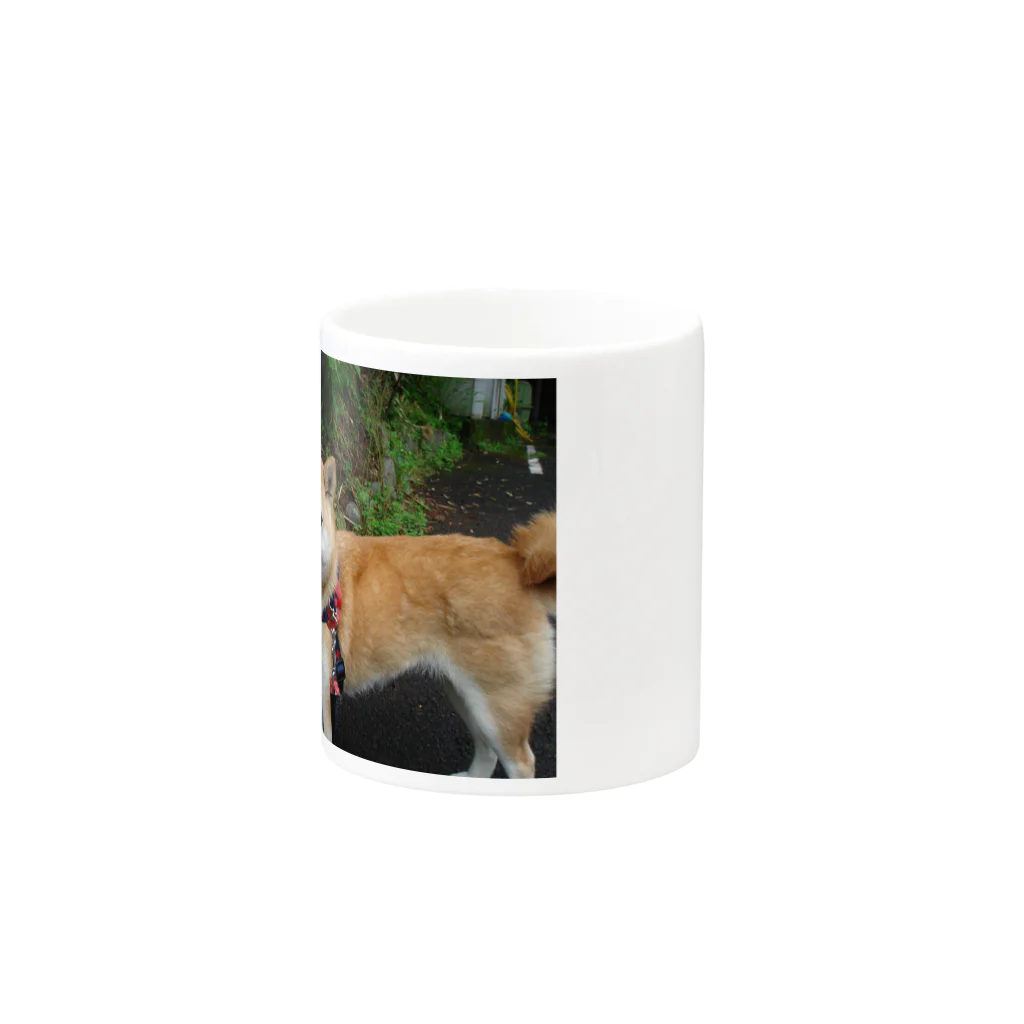 shibainuひめこの柴犬　ひめ Mug :other side of the handle