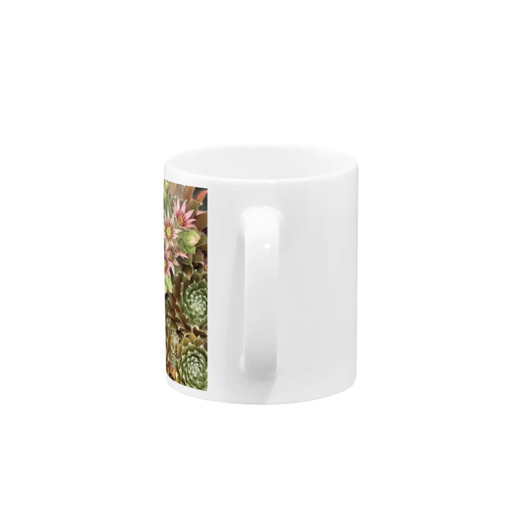 シアン猫の植物図鑑のセンペルビュームのお花 Mug :handle