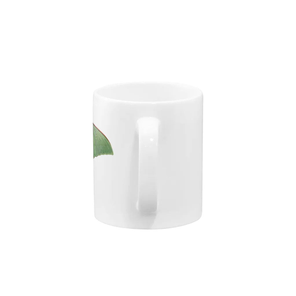 たまぴゃのオナガミズアオ Mug :handle