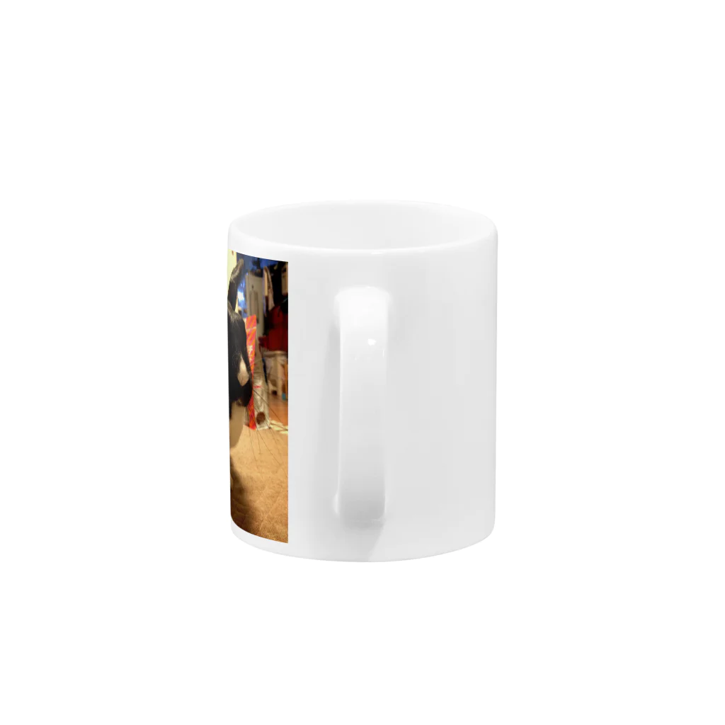 kenのラブリー胡桃 Mug :handle