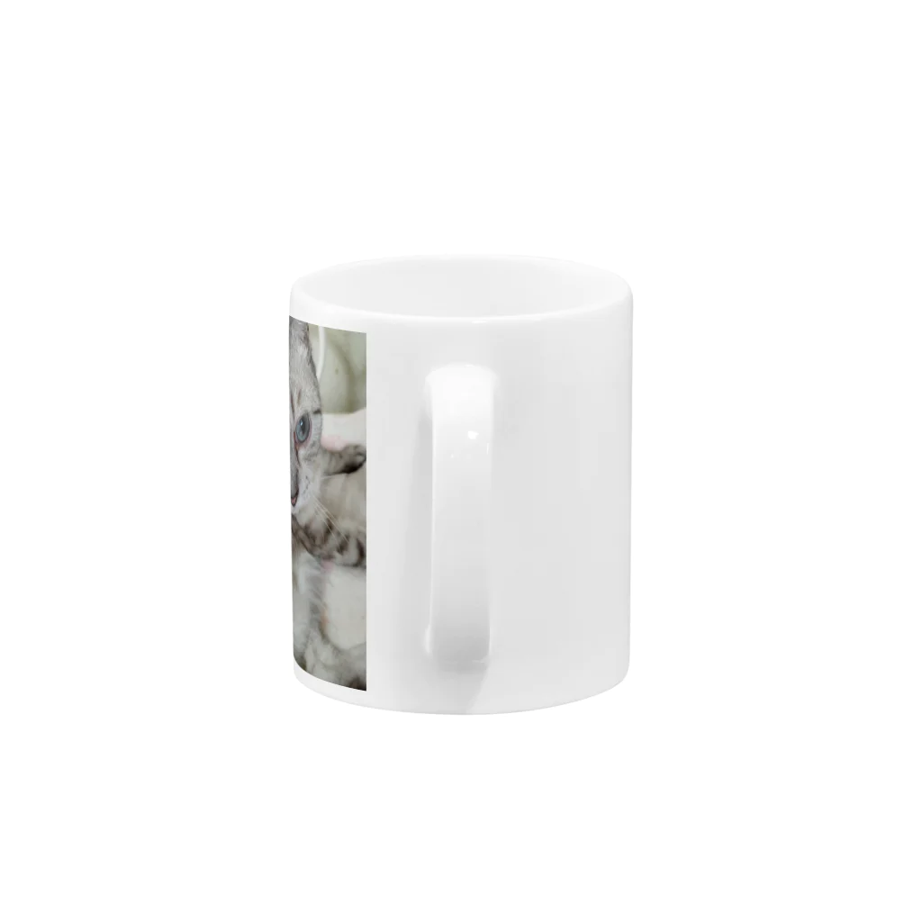 ねこの森でお散歩のフッワフワのシャムミックス Mug :handle