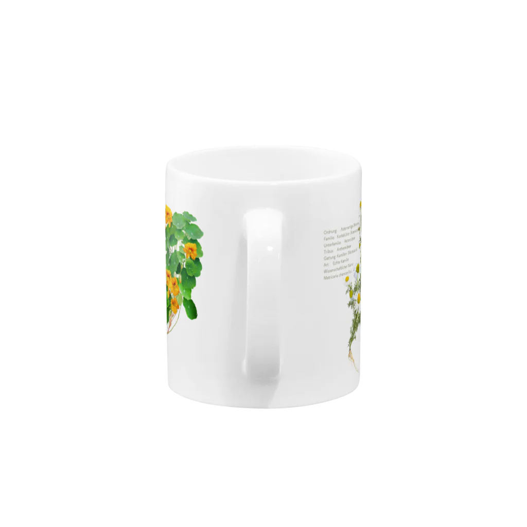 WeのHerbs Mug :handle