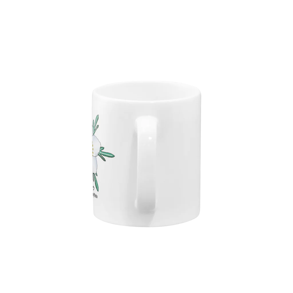 アデニウム(花・植物)のセツブンソウ(節分草) Mug :handle