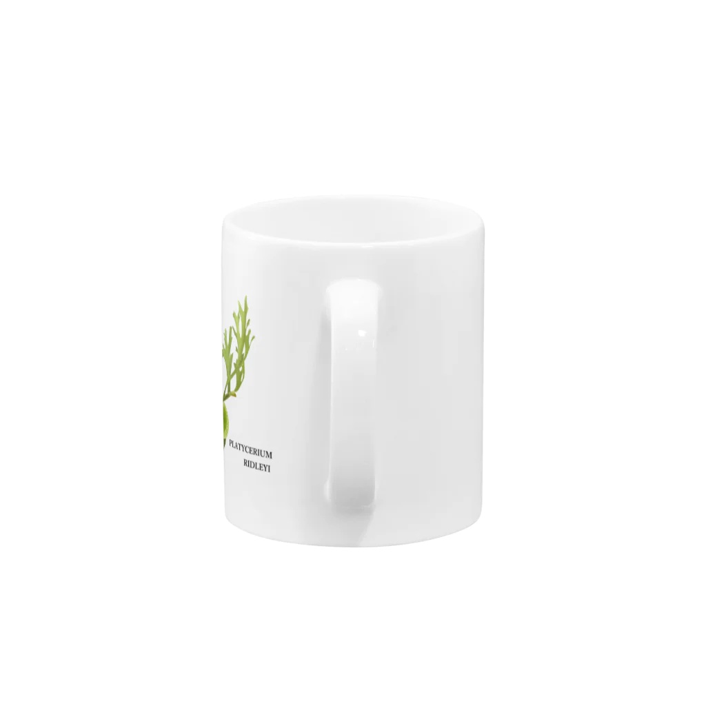 YASUPLANTS&AQUAのビカクシダ Mug :handle