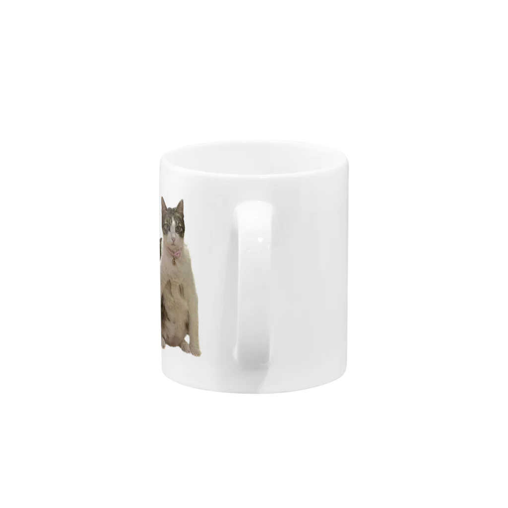 ちゃんかなの親知らずのニャンピョウ的なキューチ Mug :handle