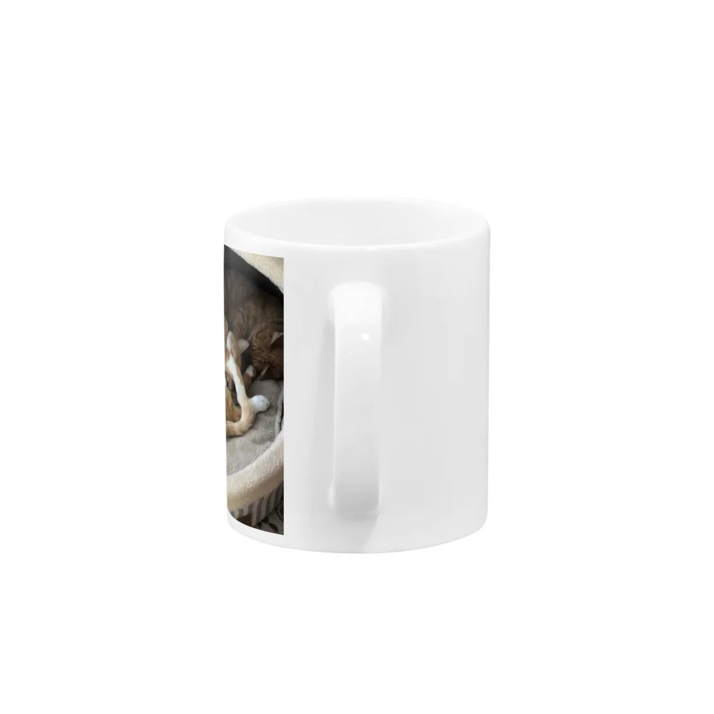 ノラ猫のウチのノラネコ兄弟 Mug :handle