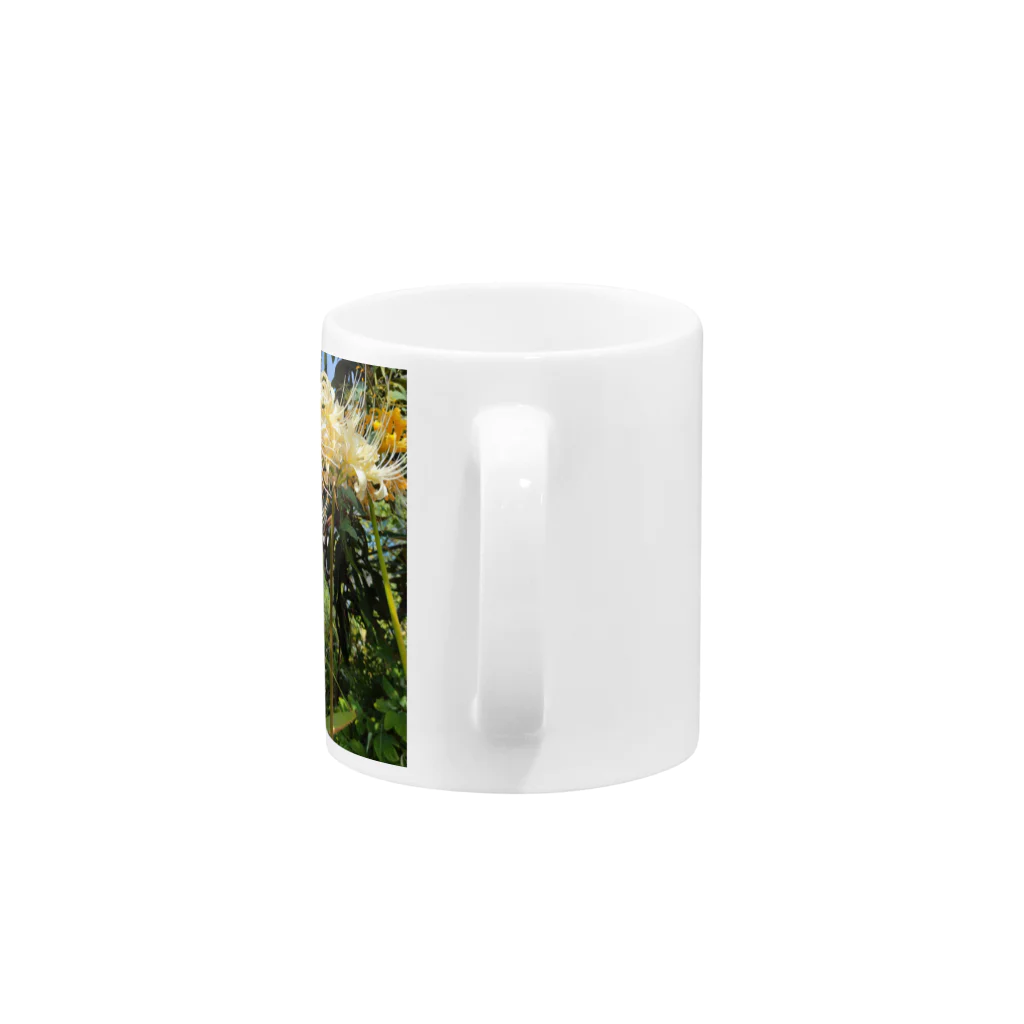 MMの白いひがん花 Mug :handle