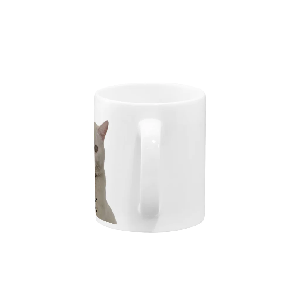 高校生でも分かる米国株の白猫りく Mug :handle